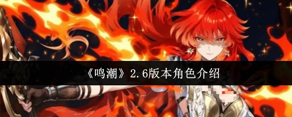 2.6版本角色介绍
