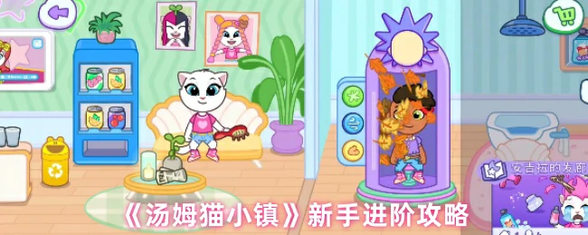 新手进阶攻略