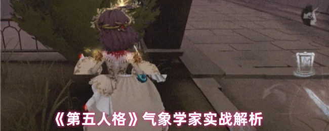 气象学家实战解析