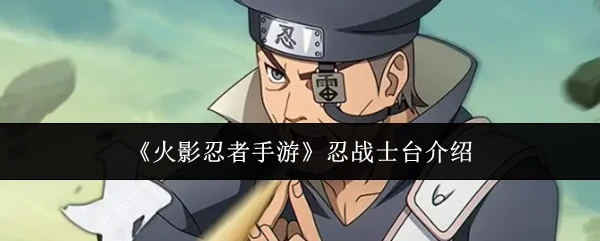 忍战士台介绍