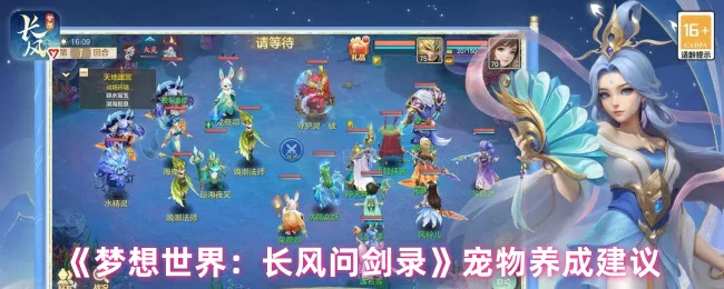宠物养成建议