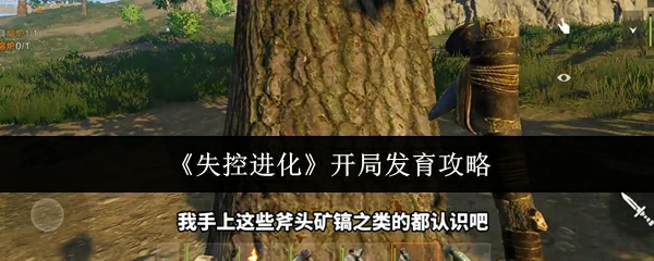 开局发育攻略
