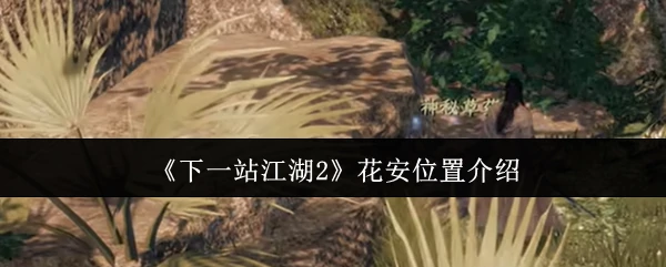 花安位置介绍