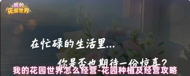 花园种植及经营攻略