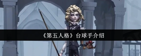 台球手介绍