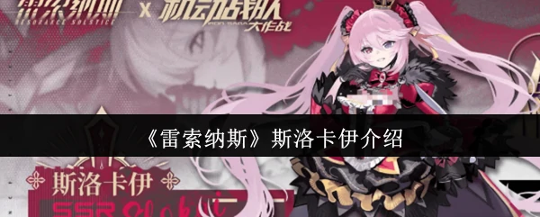 斯洛卡伊介绍