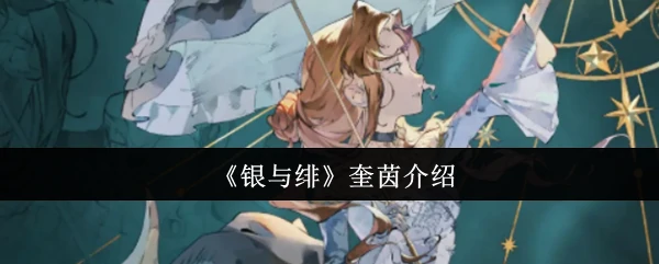 奎茵介绍