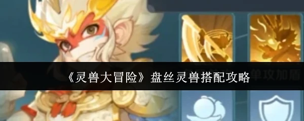 盘丝灵兽搭配攻略