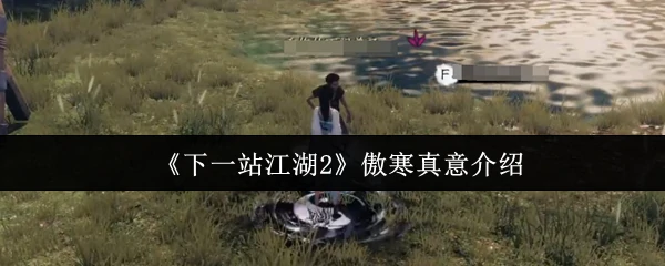 傲寒真意介绍