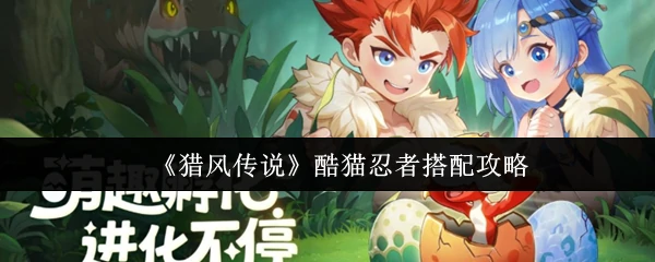 酷猫忍者搭配攻略