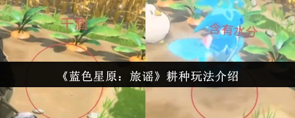 耕种玩法介绍