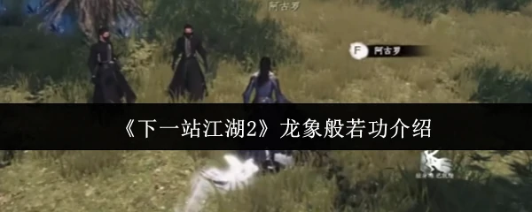 龙象般若功介绍