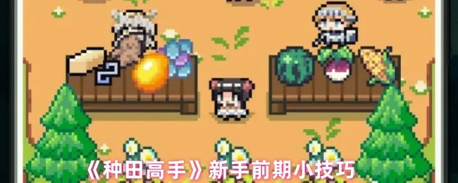 新手前期小技巧