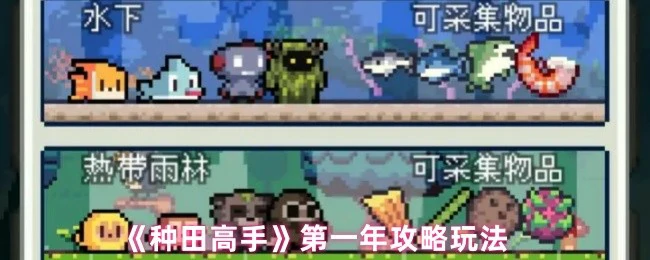 第一年攻略玩法