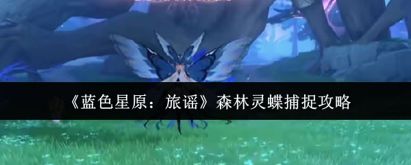 森林灵蝶捕捉攻略