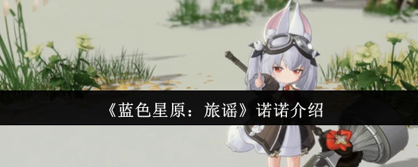 诺诺介绍