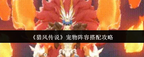 宠物阵容搭配攻略