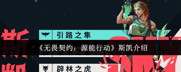 斯凯介绍