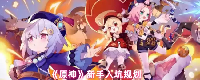 新手入坑规划