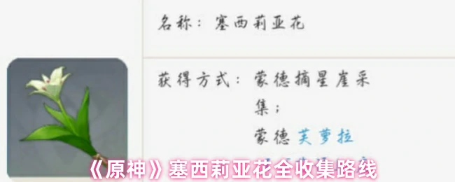塞西莉亚花全收集路线