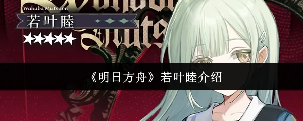若叶睦介绍