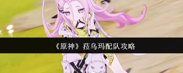 菈乌玛配队攻略