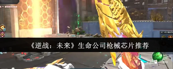 生命公司枪械芯片推荐