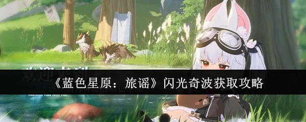 闪光奇波获取攻略