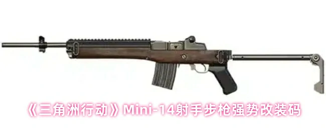Mini - 14射手步枪强势改装码