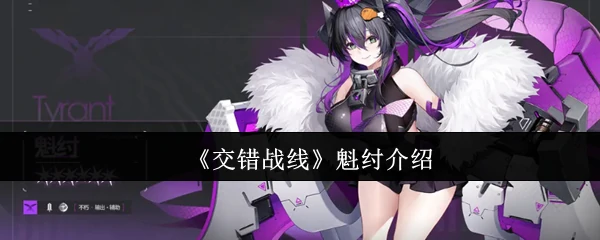 魁纣介绍