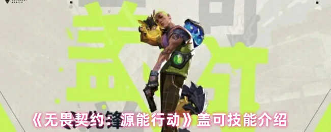 盖可技能介绍