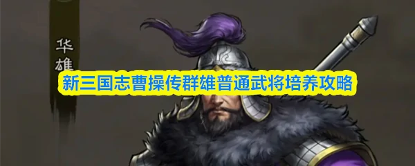群雄普通武将培养攻略