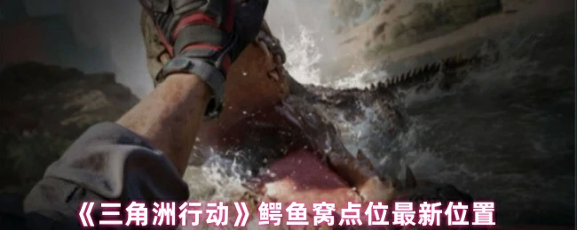 鳄鱼窝点