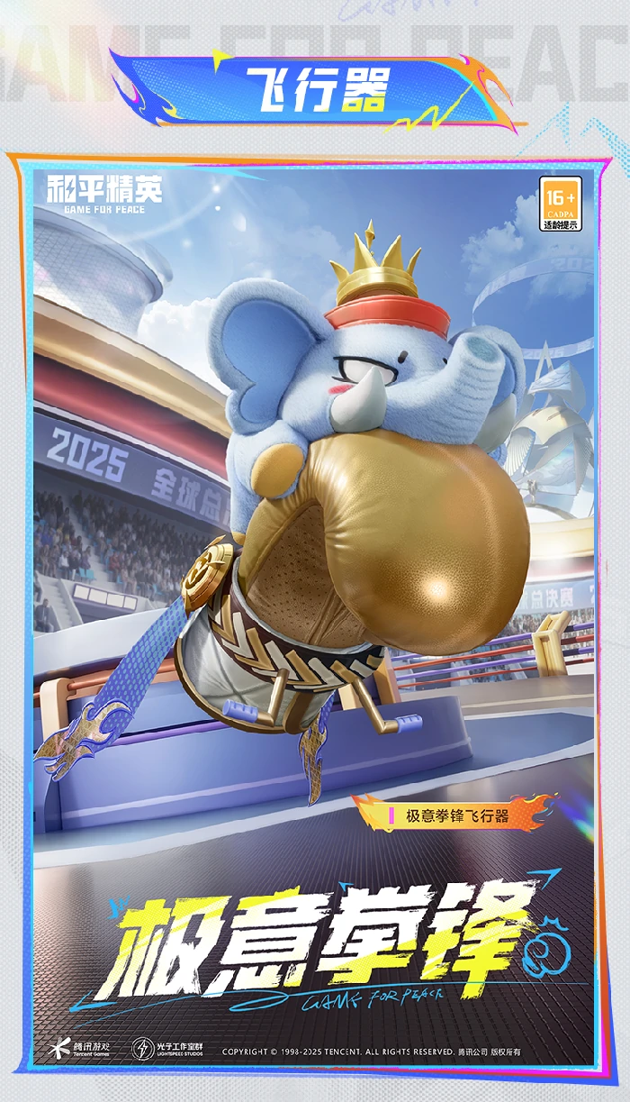 极意拳锋套装及配套效果展示