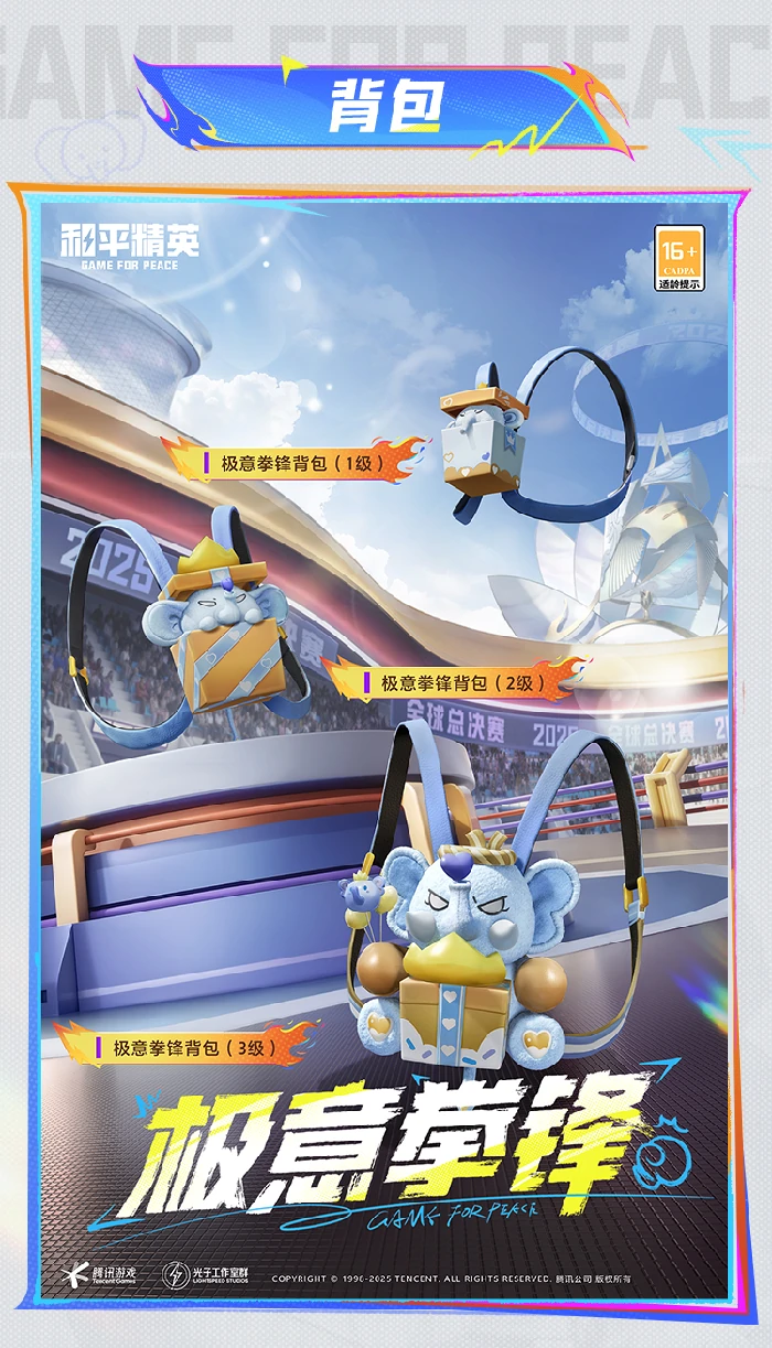 极意拳锋套装及配套效果展示