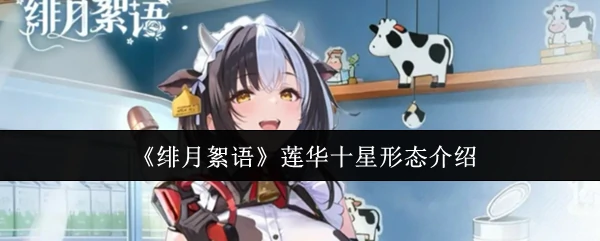 莲华十星形态介绍