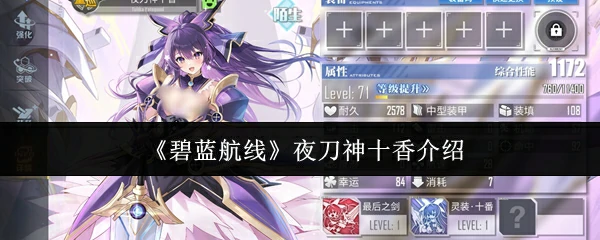 夜刀神十香介绍