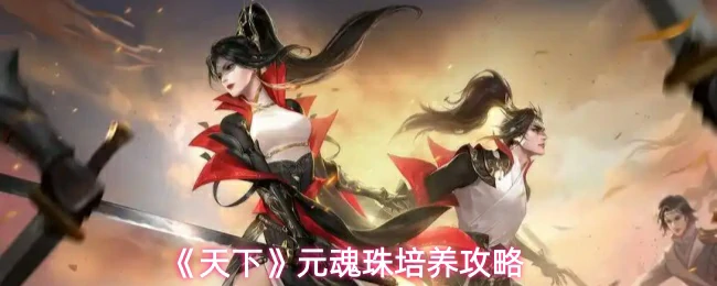 元魂珠培养攻略