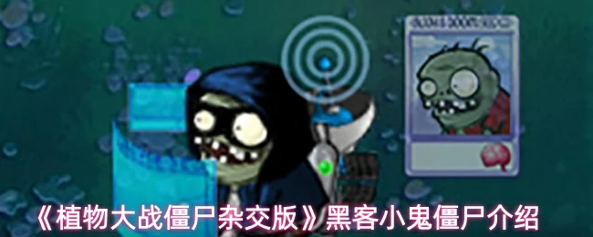 黑客小鬼僵尸介绍