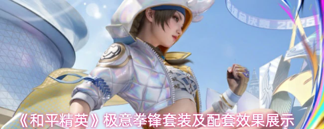 极意拳锋套装及配套效果展示