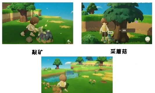 五色阿奇宝获取攻略