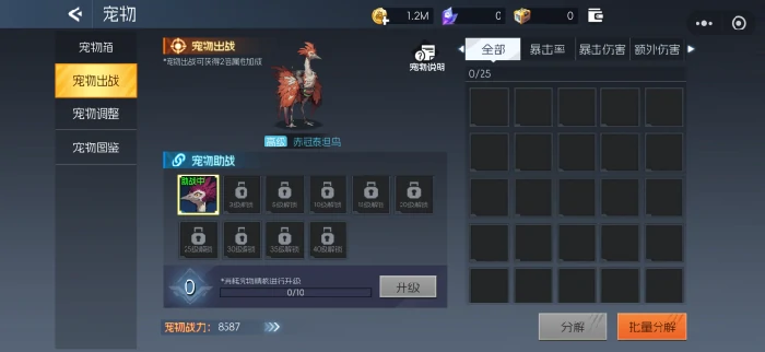 新手战力提升攻略