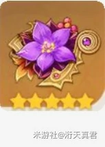 v6.1菲谢尔养成攻略