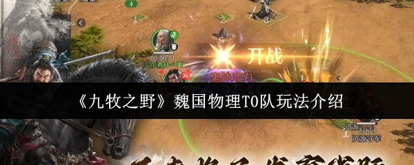 魏国物理T0队玩法介绍