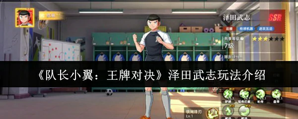 泽田武志玩法介绍