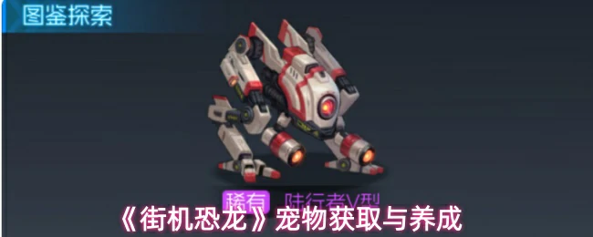 宠物获取与养成