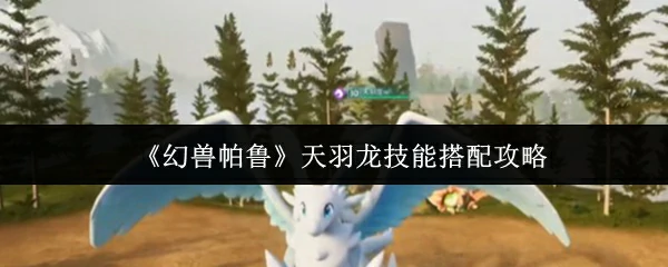 天羽龙技能搭配攻略
