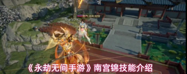 南宫锦技能介绍