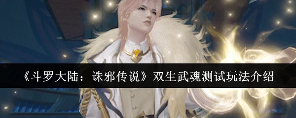双生武魂测试玩法介绍
