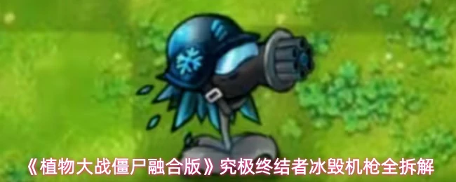 冰毁机枪全拆解